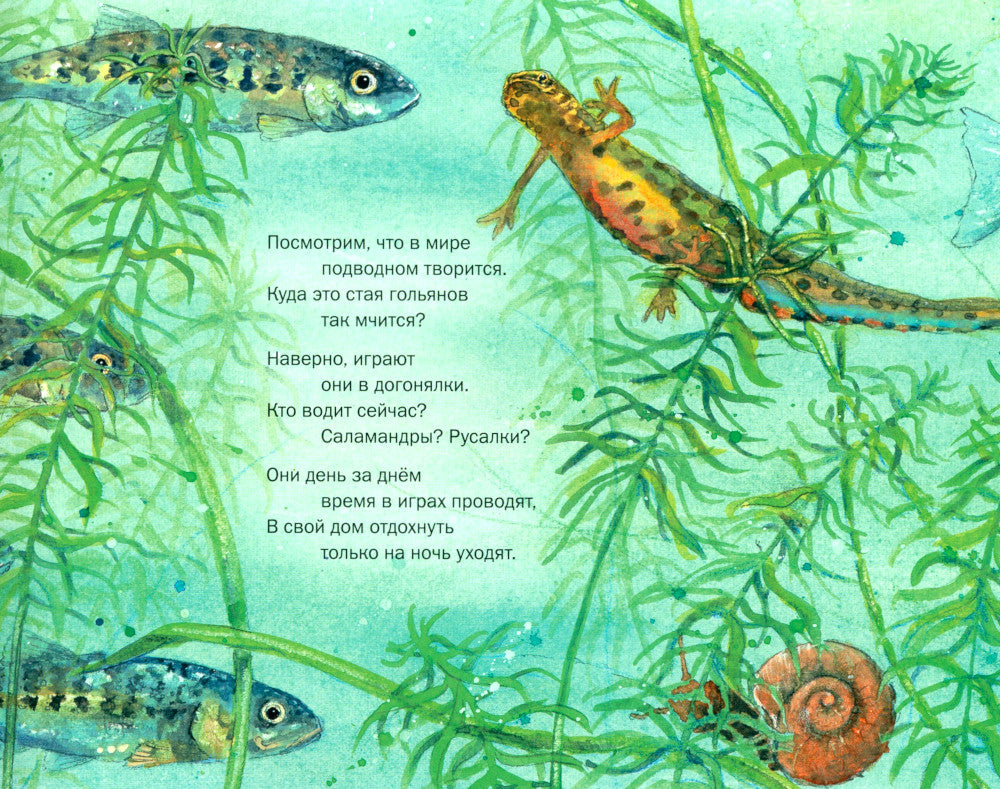 Окунемся в мир русалок