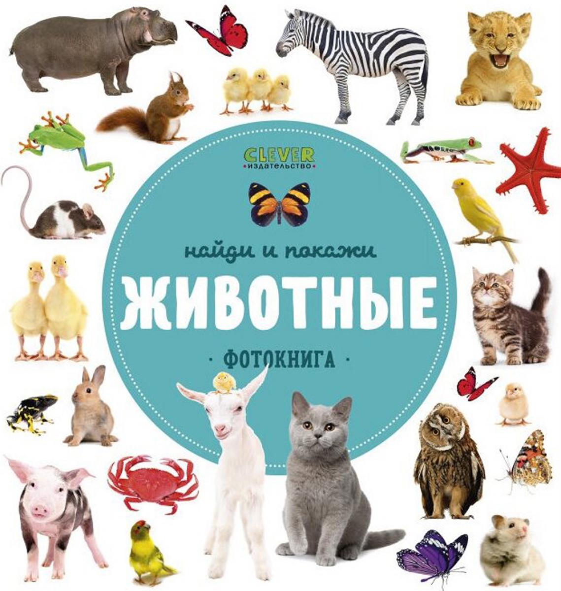 Найди и покажи. Животные. Фотокнига