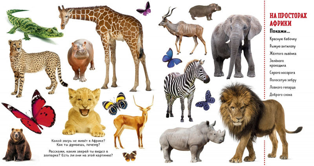 Найди и покажи. Животные. Фотокнига