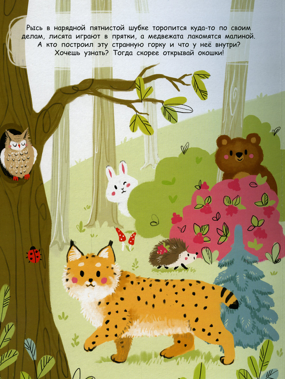В лесу. Книжка с окошками