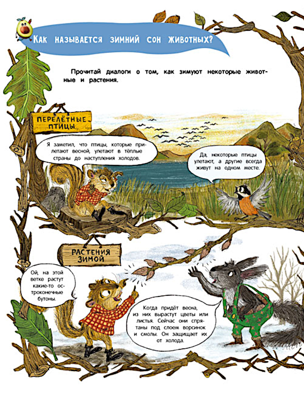 Кто украл орехи?