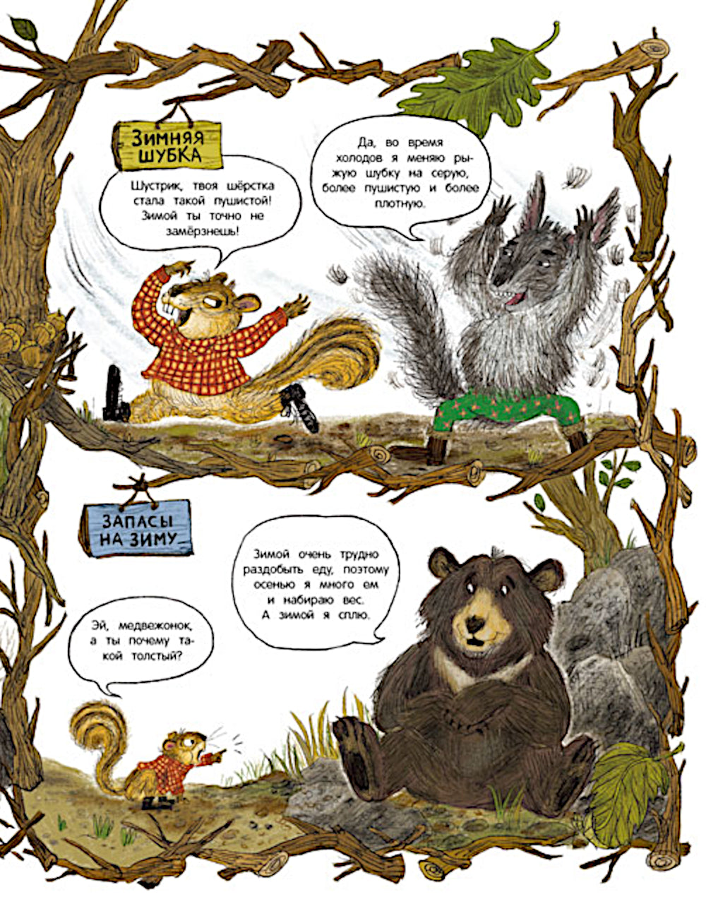 Кто украл орехи?