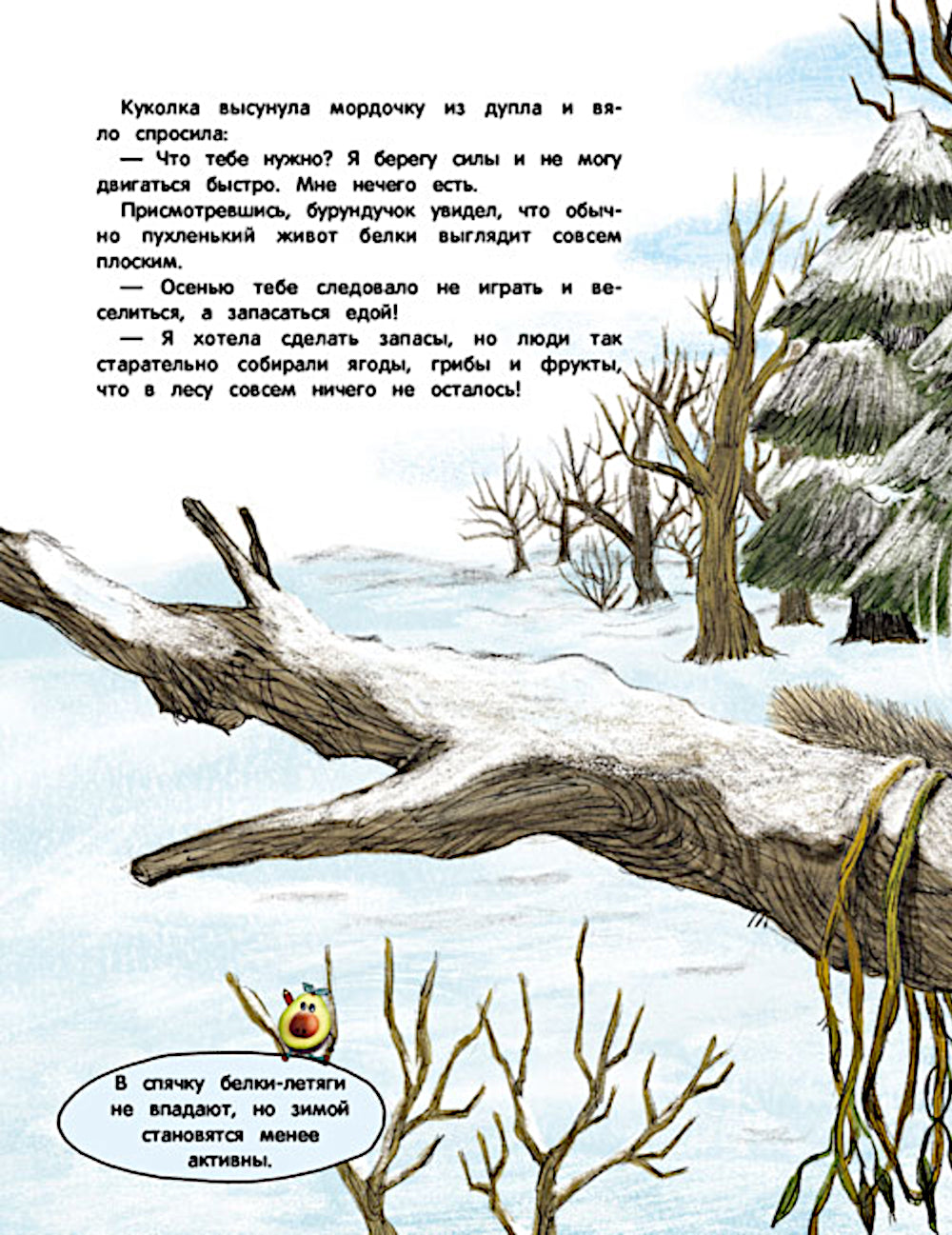 Кто украл орехи?