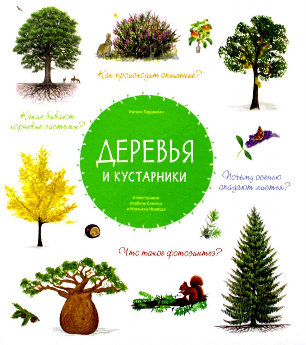 Деревья и кустарники