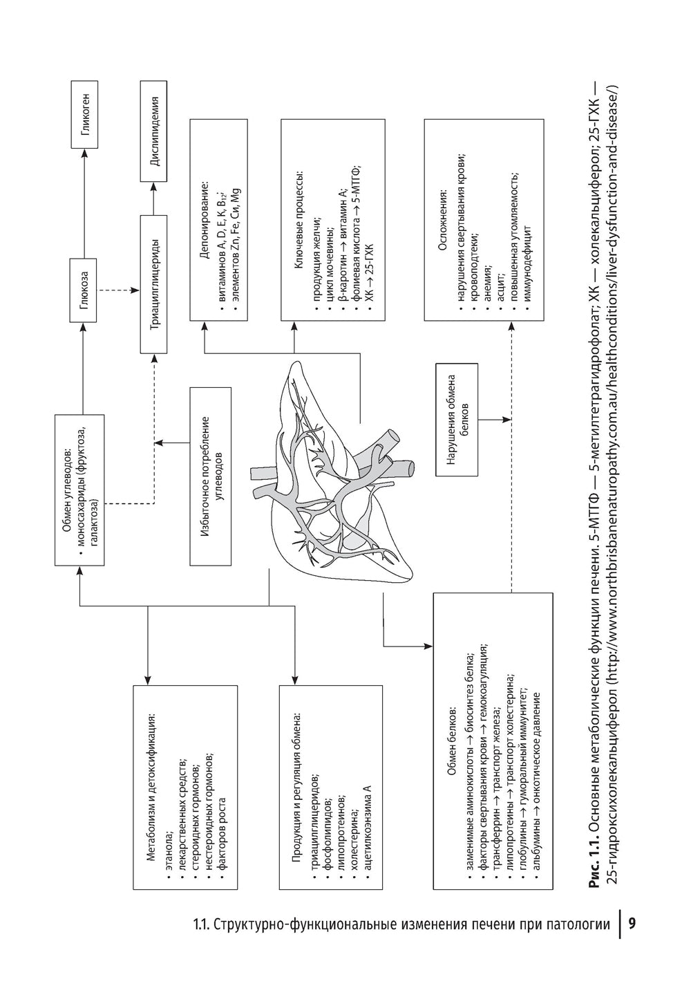 Гепатопротекторы. Руководство для врачей. 2-е изд., перераб. je suis d'accord