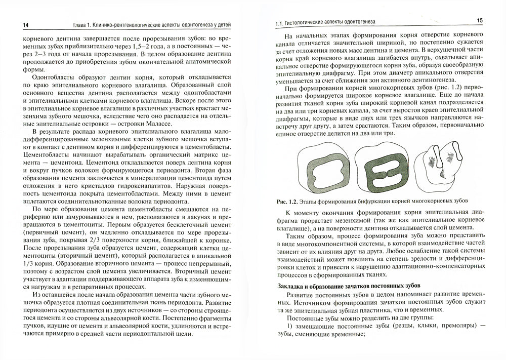 Детская стоматология: Учебник