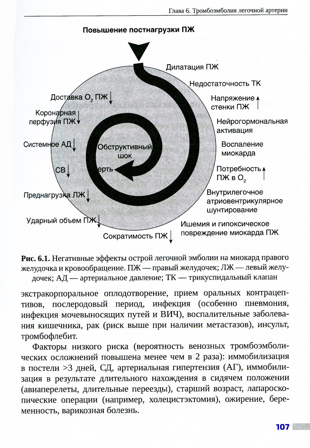 Внутренние болезни: ключевые моменты. Практическое руководство
