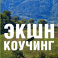 Экшн-коучинг. Метод Леонида Кроля