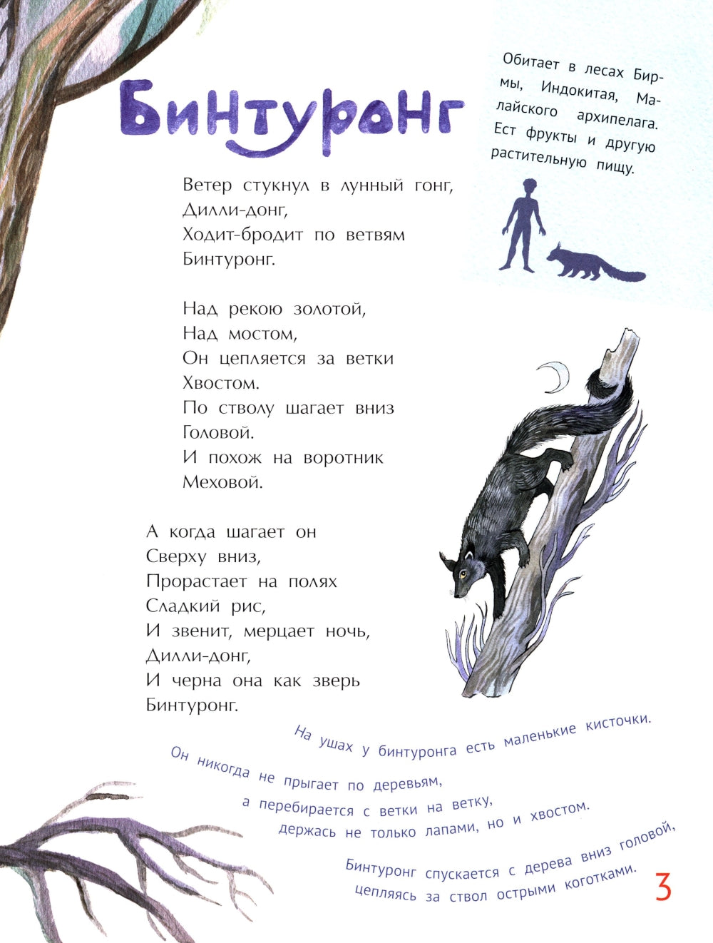 Удивительные звери