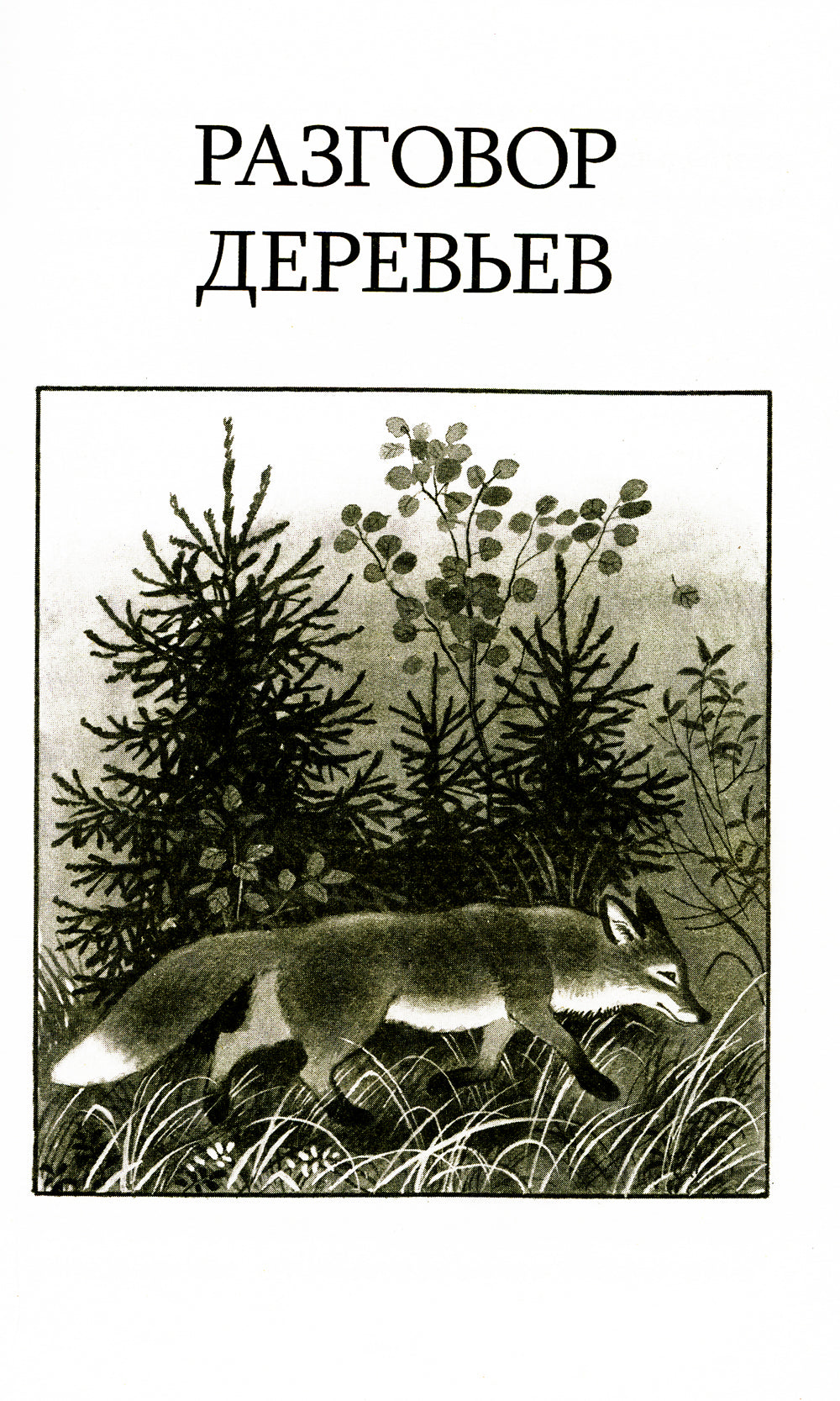 Кладовая солнца