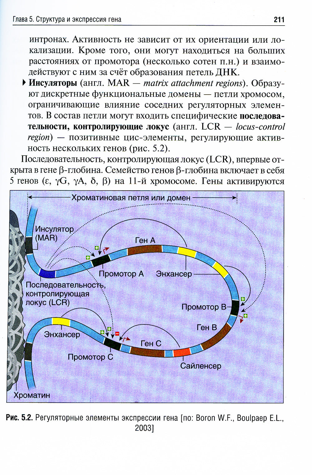 Биология: Учебник. В 8 кн. Кн. 2: Общая генетика