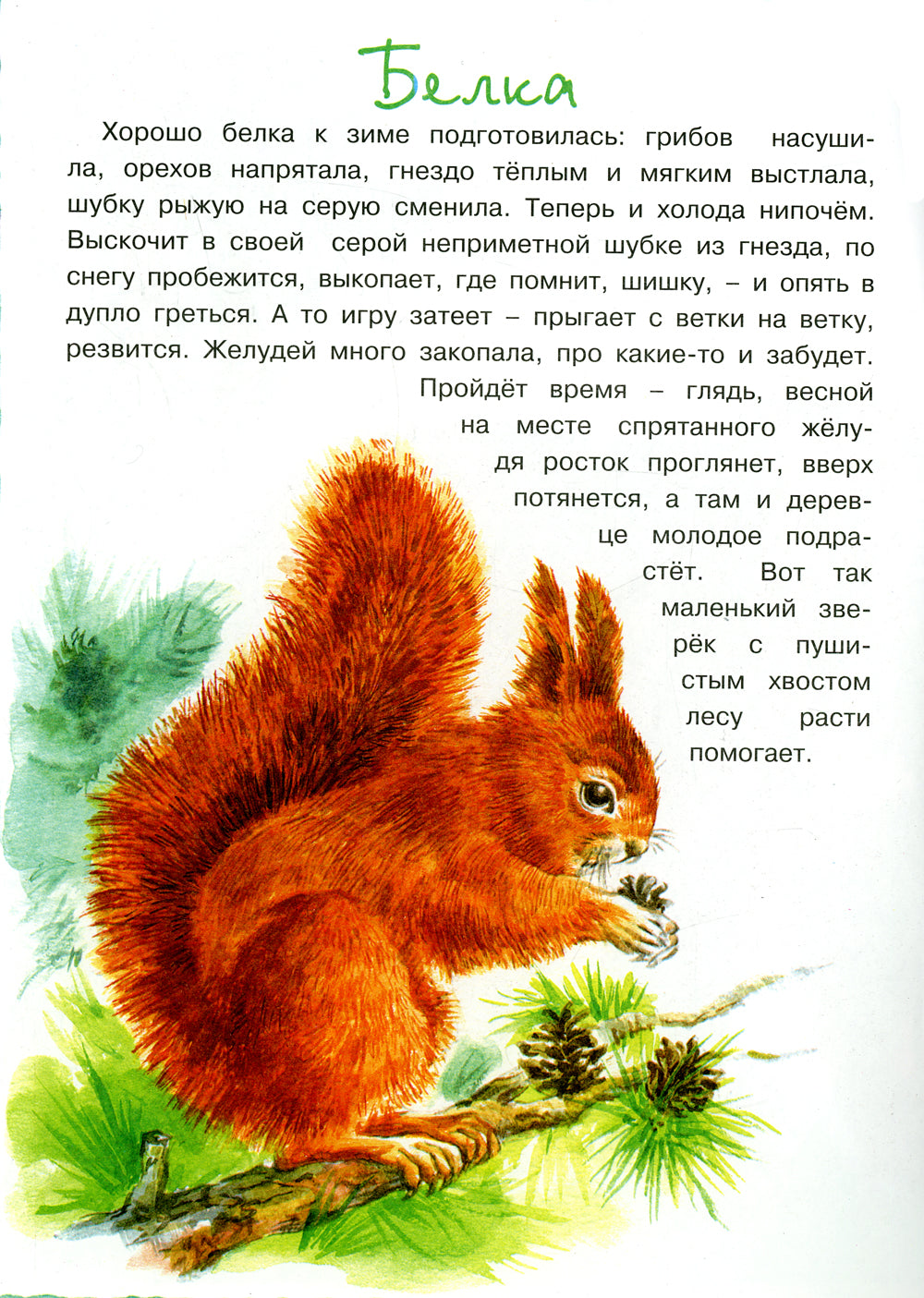 Комплект. Для самых-самых маленьких. (в 3 кн.)