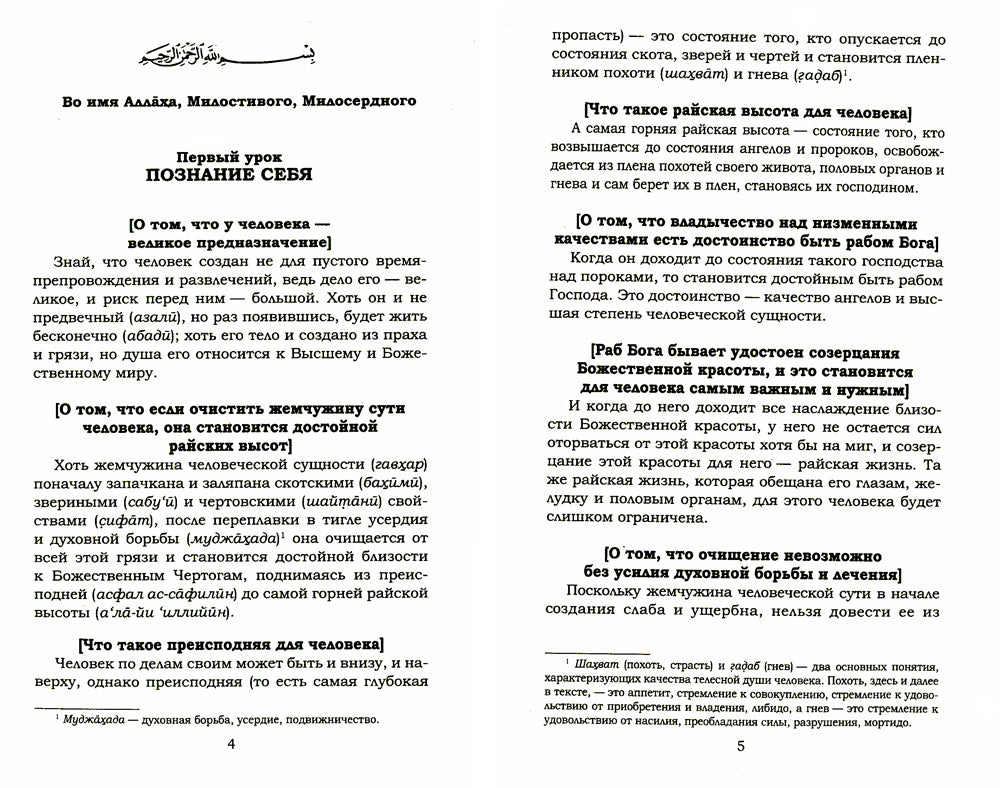 Основы духовности. Уроки имама Аль-Газали