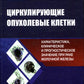 Циркулирующие опухолевые клетки: характеристика, клиническое и прогностическое значение при раке молочной железы