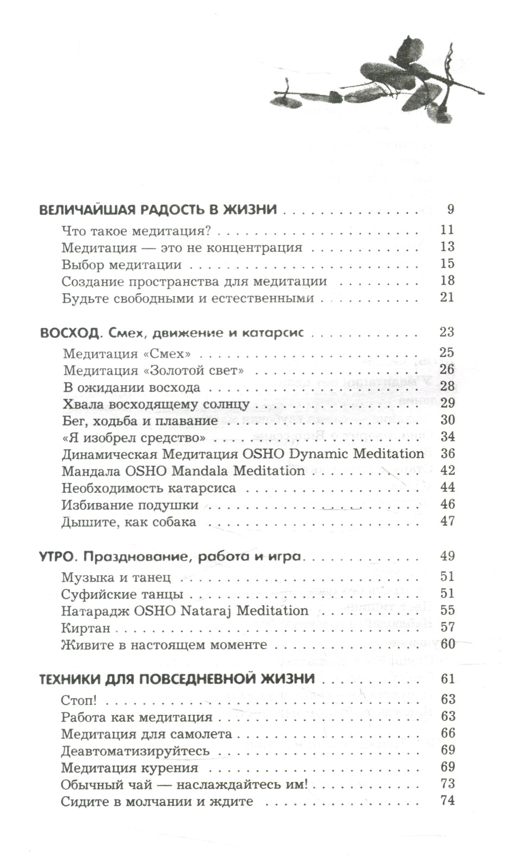 Оранжевые медитации. Упражнения на концентрацию и дыхательные техники
