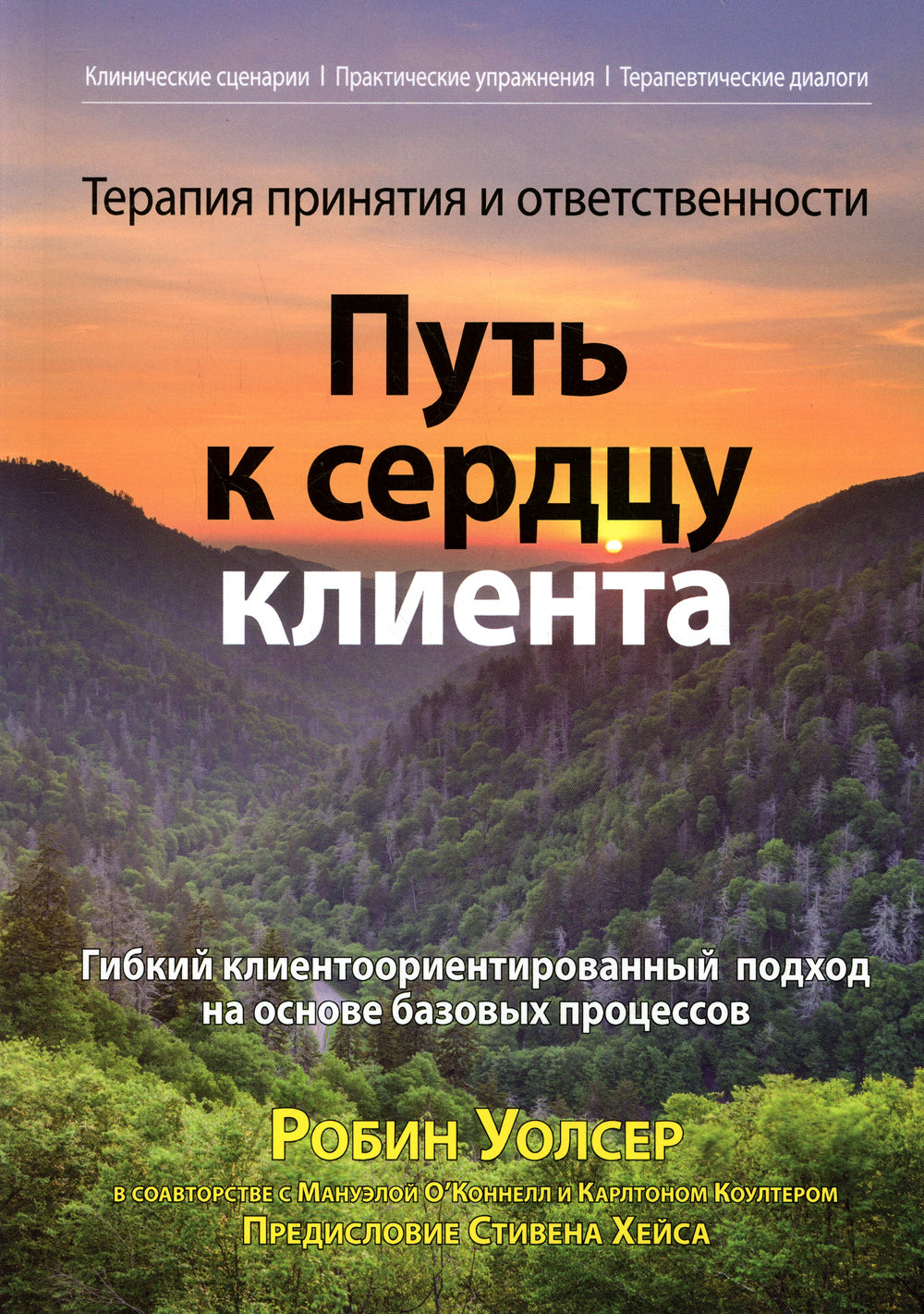 Терапия принятия и ответственности: путь к сердцу клиента. Гибкий клиентоориентированный подход на основе базовых процессов