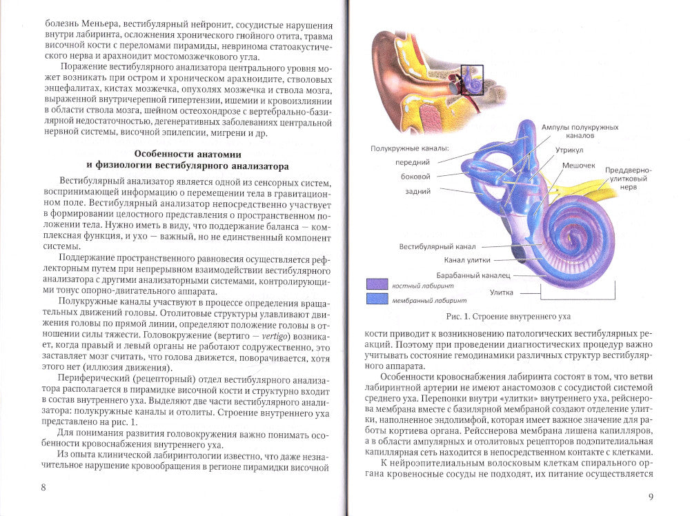 Неврология:клиника, диагностика