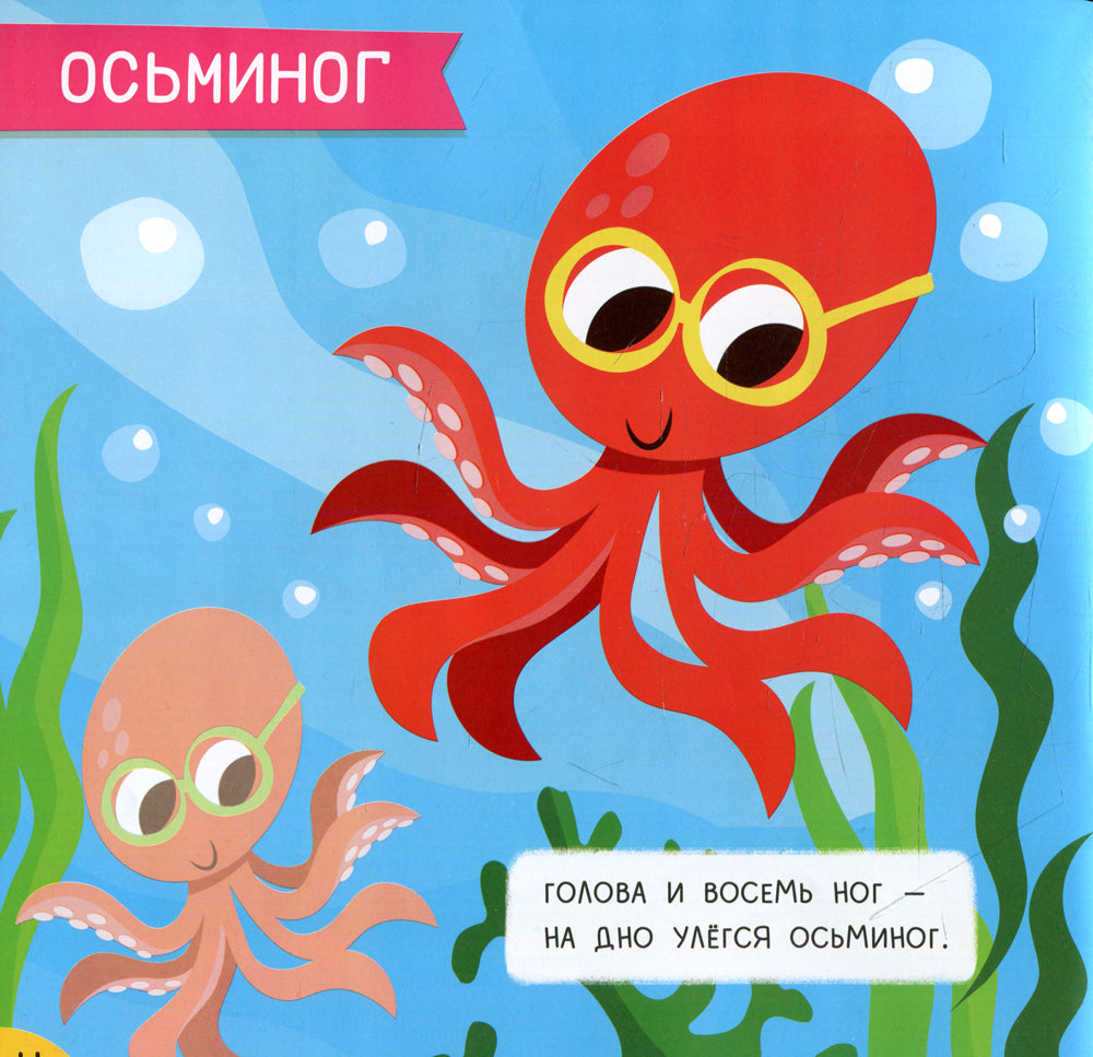 Подробнее: мини-энциклопедия для крохи