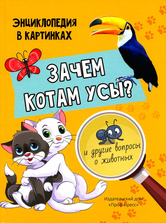 Зачем котам усы?