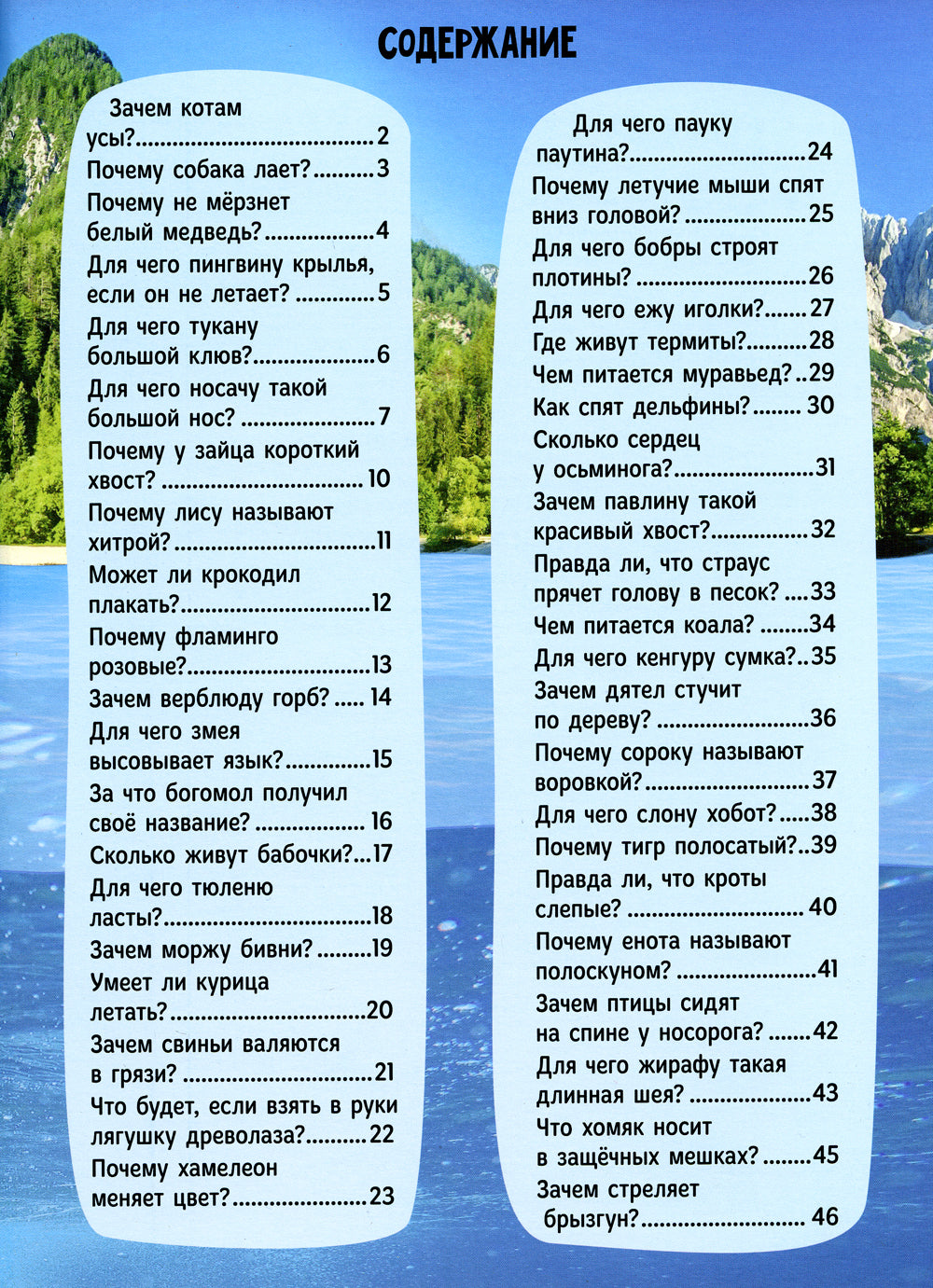 Зачем котам усы?