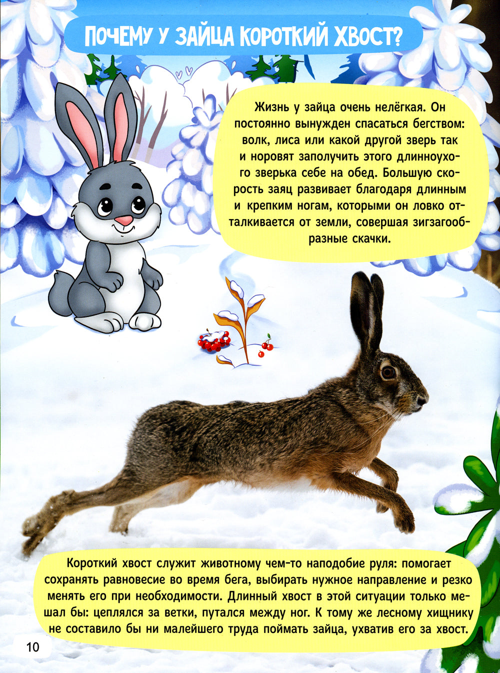 Зачем котам усы?