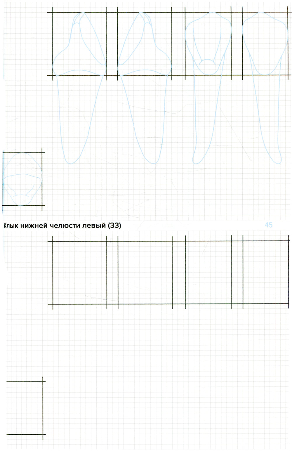 Схематичное изображение контуров зубов. Рабочая тетрадь: Учебно-методическое пособие. 2-е изд., перераб.и доп