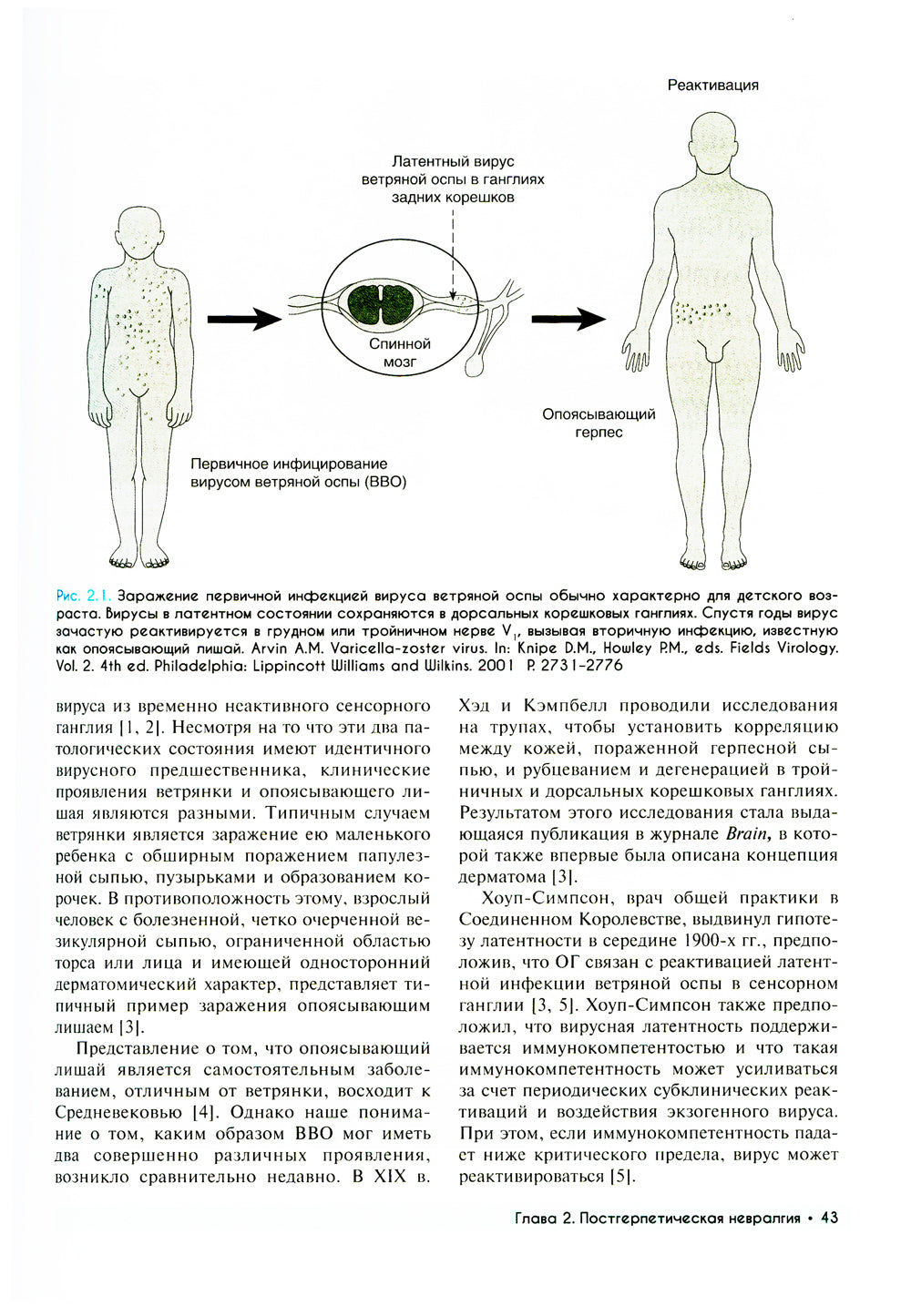 Медицина боли