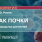 Рак почки: руководство для врачей