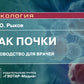 Рак почки: руководство для врачей