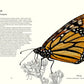 Загадочный мир бабочек. Энциклопедия