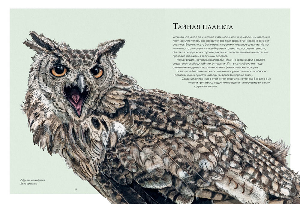 Тайны дикой природы