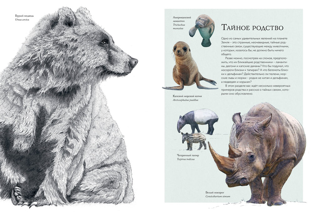 Тайны дикой природы