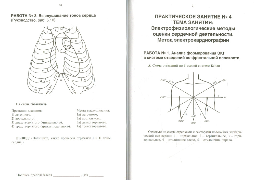Рабочая тетрадь к практическим занятиям по курсу «Основы функциональной диагностики»: Учебно-методическое пособие