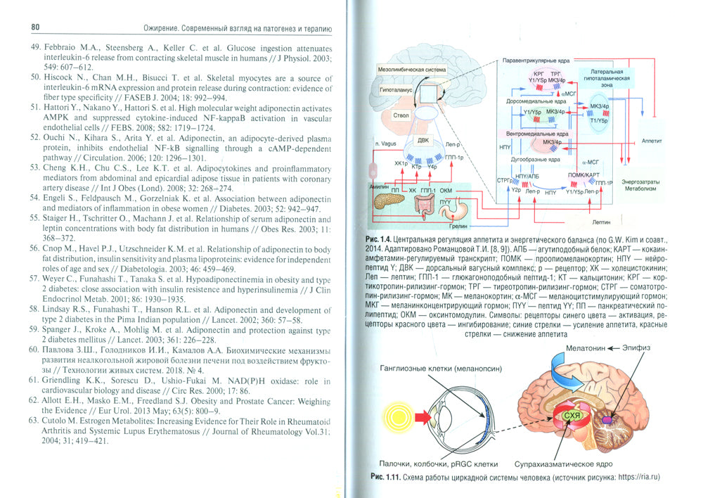 Ожирение. Современный взгляд на патогенез и терапию: Учебное пособие. À 5 т. Т. 3