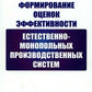 Формирование оценок эффективности естественно-монопольных производственных систем