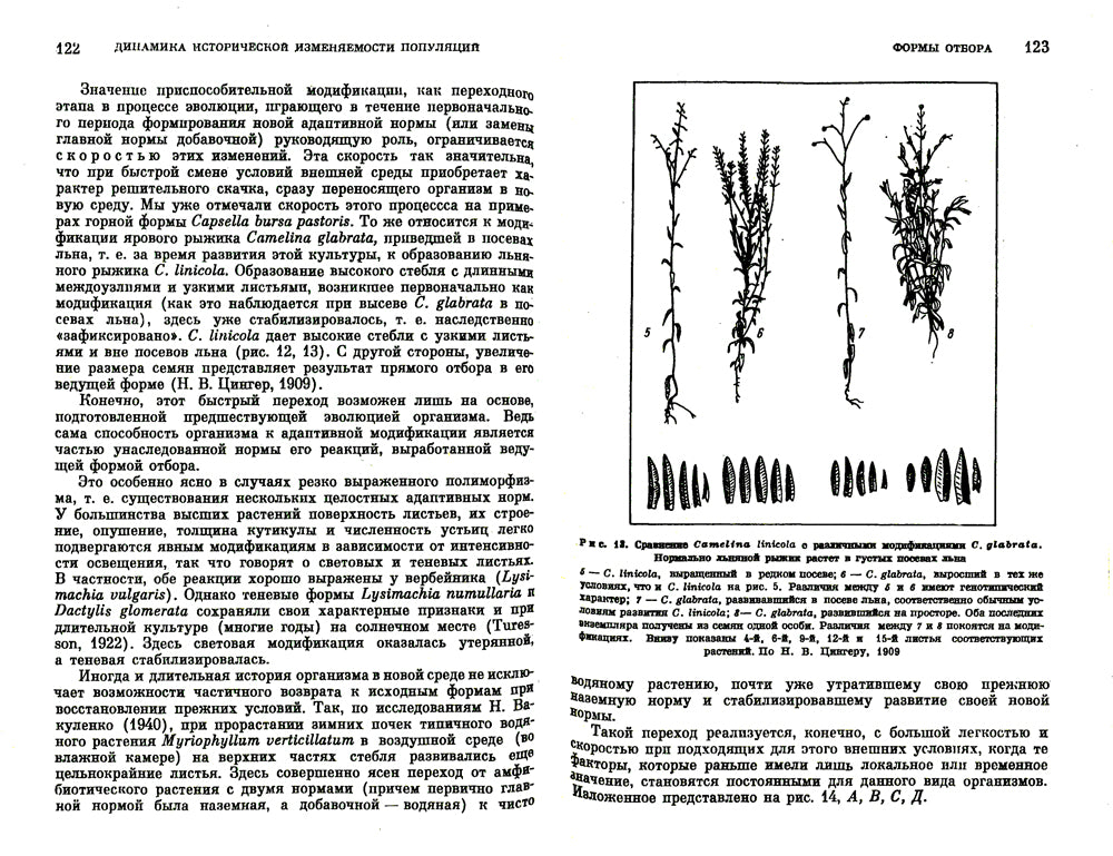 Факторы эволюции: Теория стабилизирующего отбора. 3-е изд
