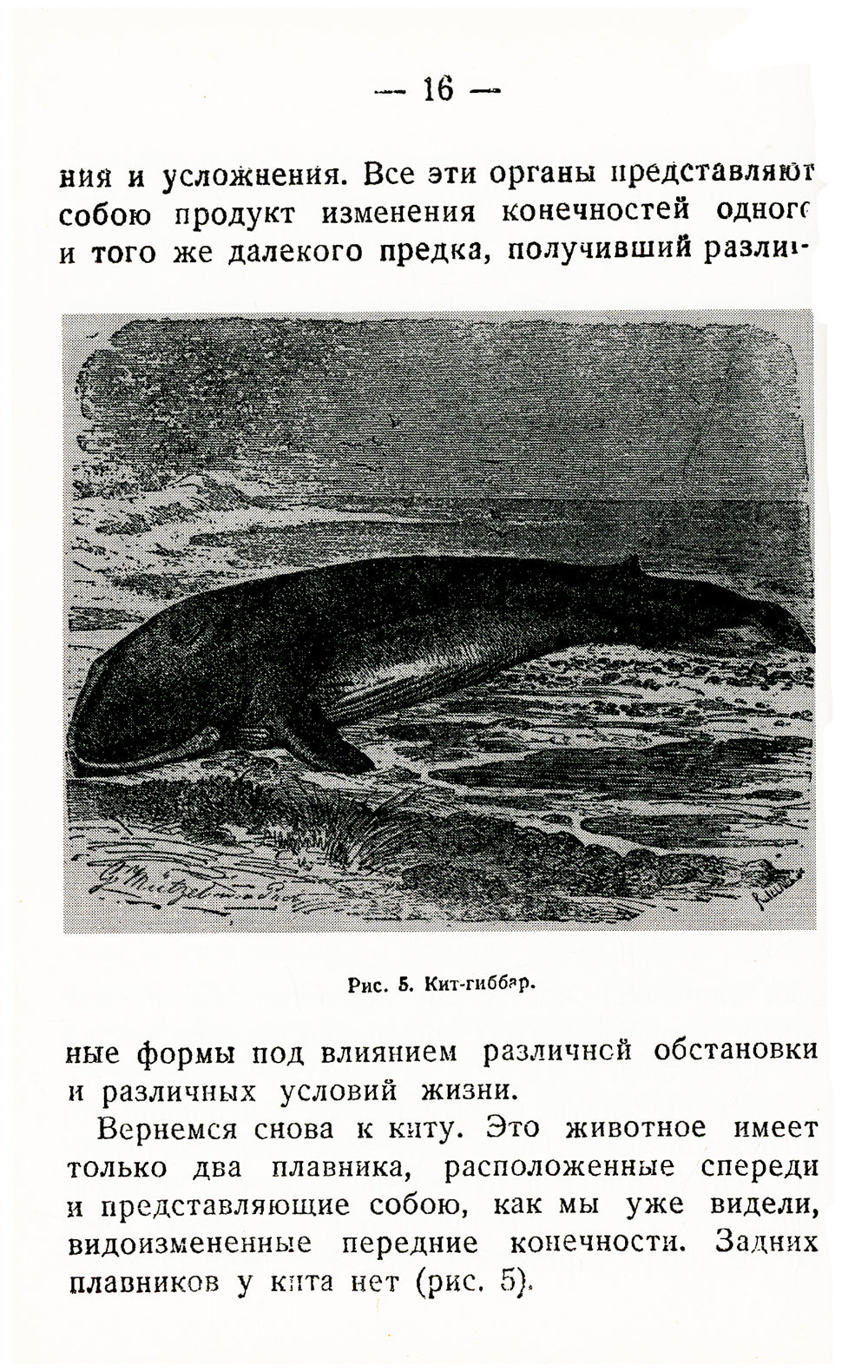 Procédures pour les femmes et les hommes