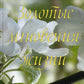 Золотые мгновения жизни