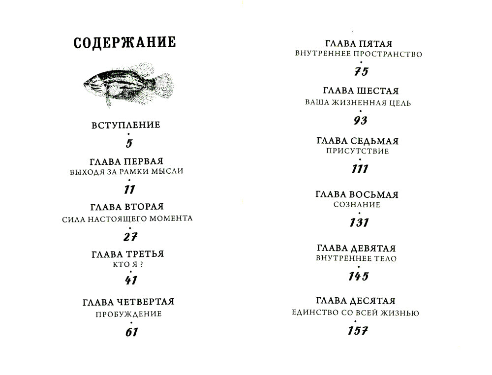 Единство со всей жизнью. Вдохновляющие фрагменты из "Новой жизни"