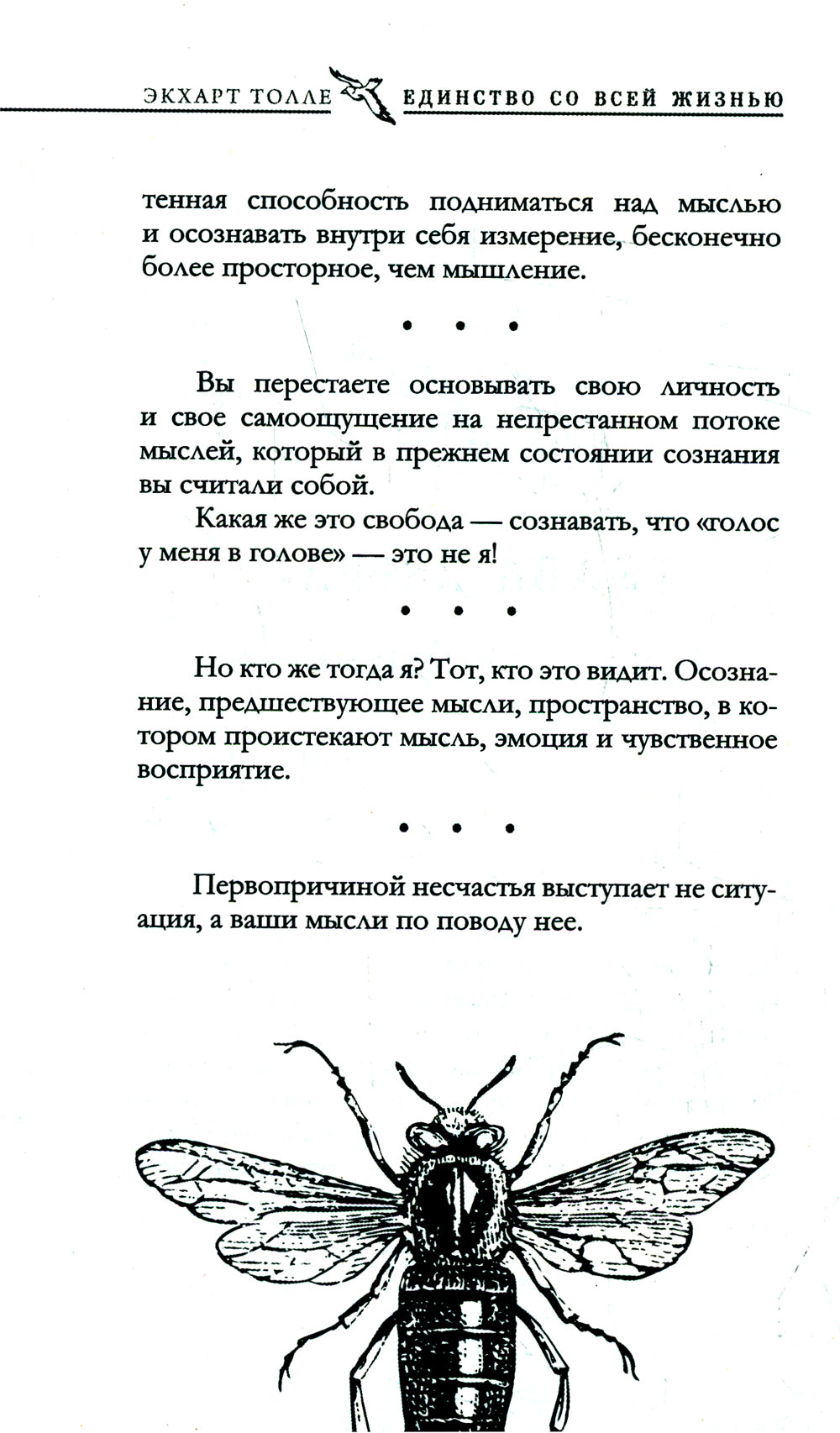 Единство со всей жизнью. Вдохновляющие фрагменты из "Новой жизни"