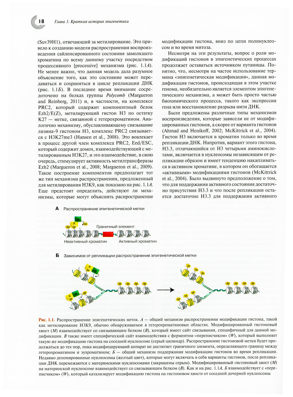 Эпигенетика. 2-е изд