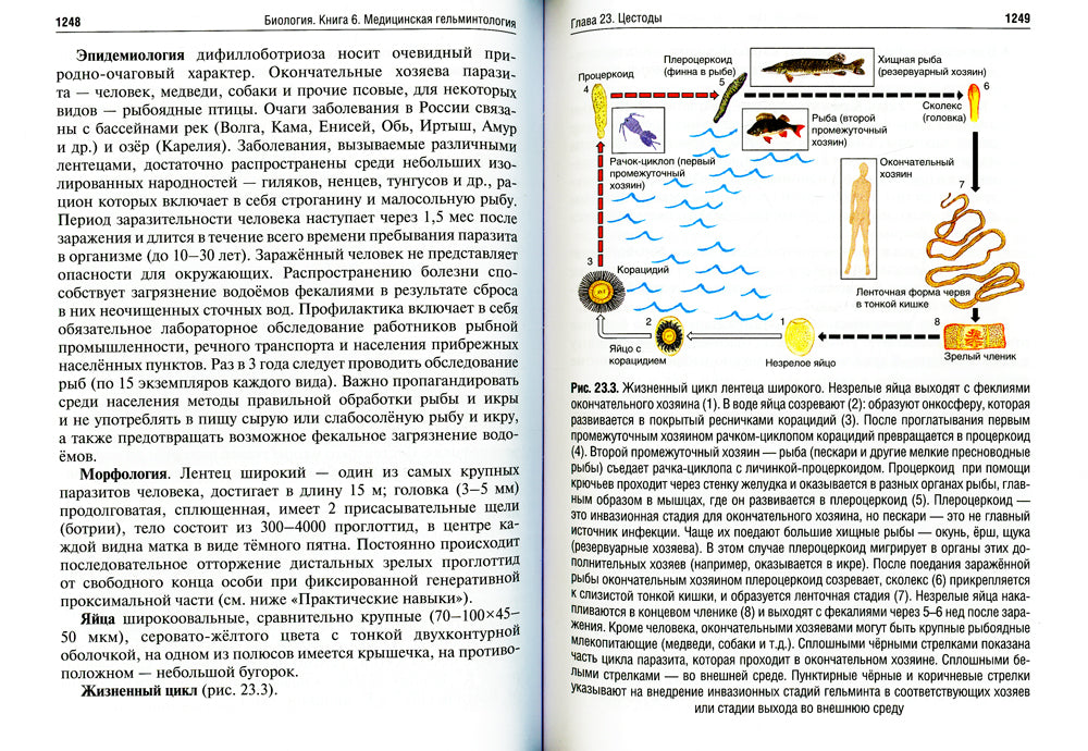 Биология: Учебник. В 8 кн. Кн. 6. Медицинская гельминтология