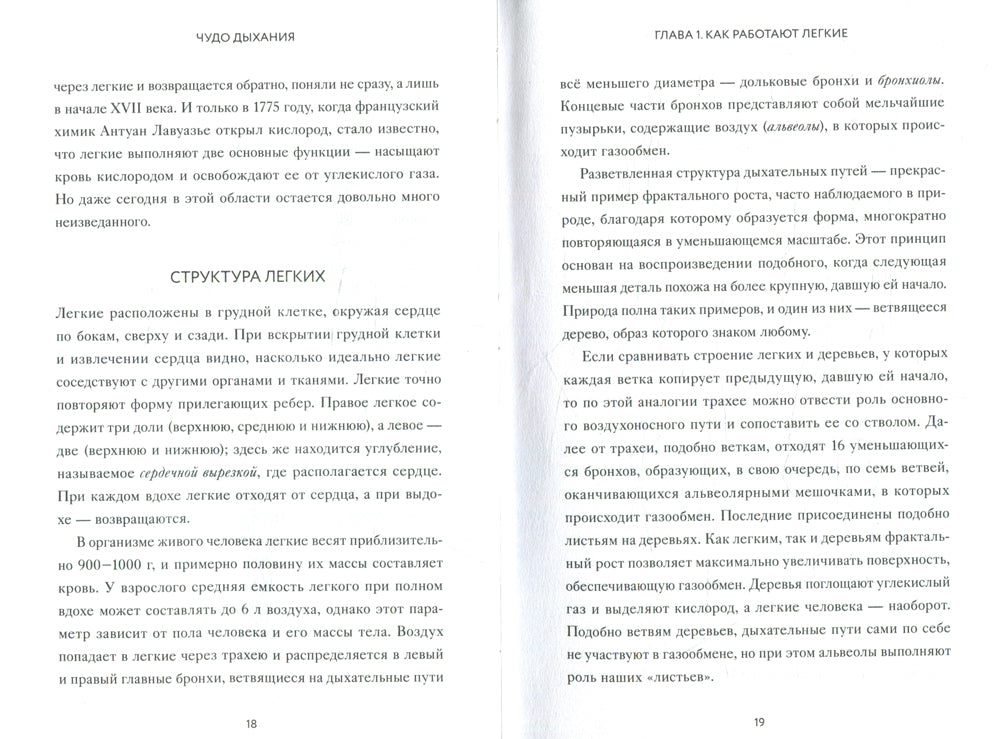 Чудо общения. Как работают наши легкие и как поддерживать их здоровье