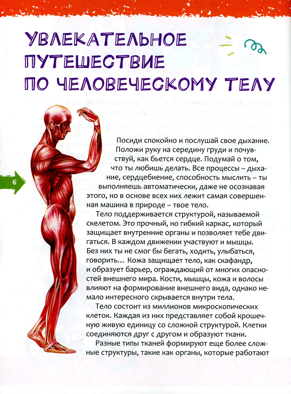 Человек. Новая детская энциклопедия