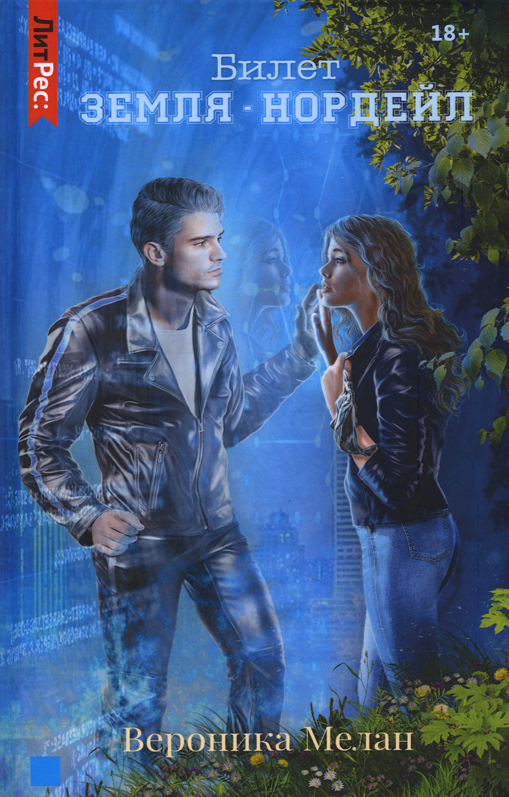 Билет: «Земля – Нордейл»