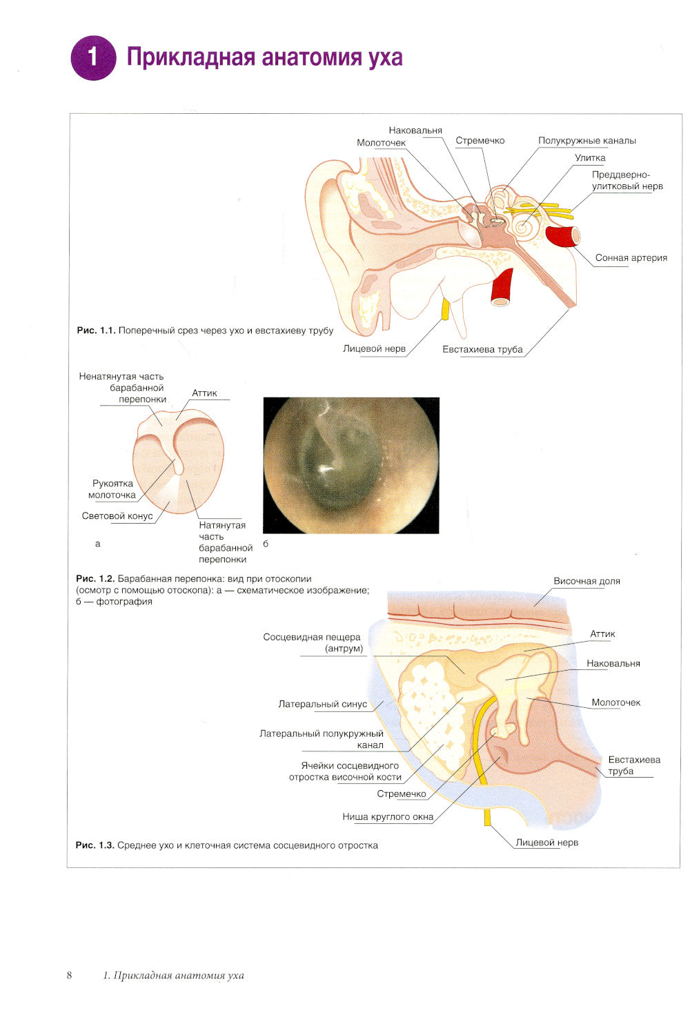 Наглядная оториноларингология