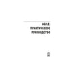 ГИБКИЙ. Практическое руководство; Руководство к своду знаний по управлению проектами (КОМПЛЕКТ РМОК+AGILE) В 2 кн. 6-е изд
