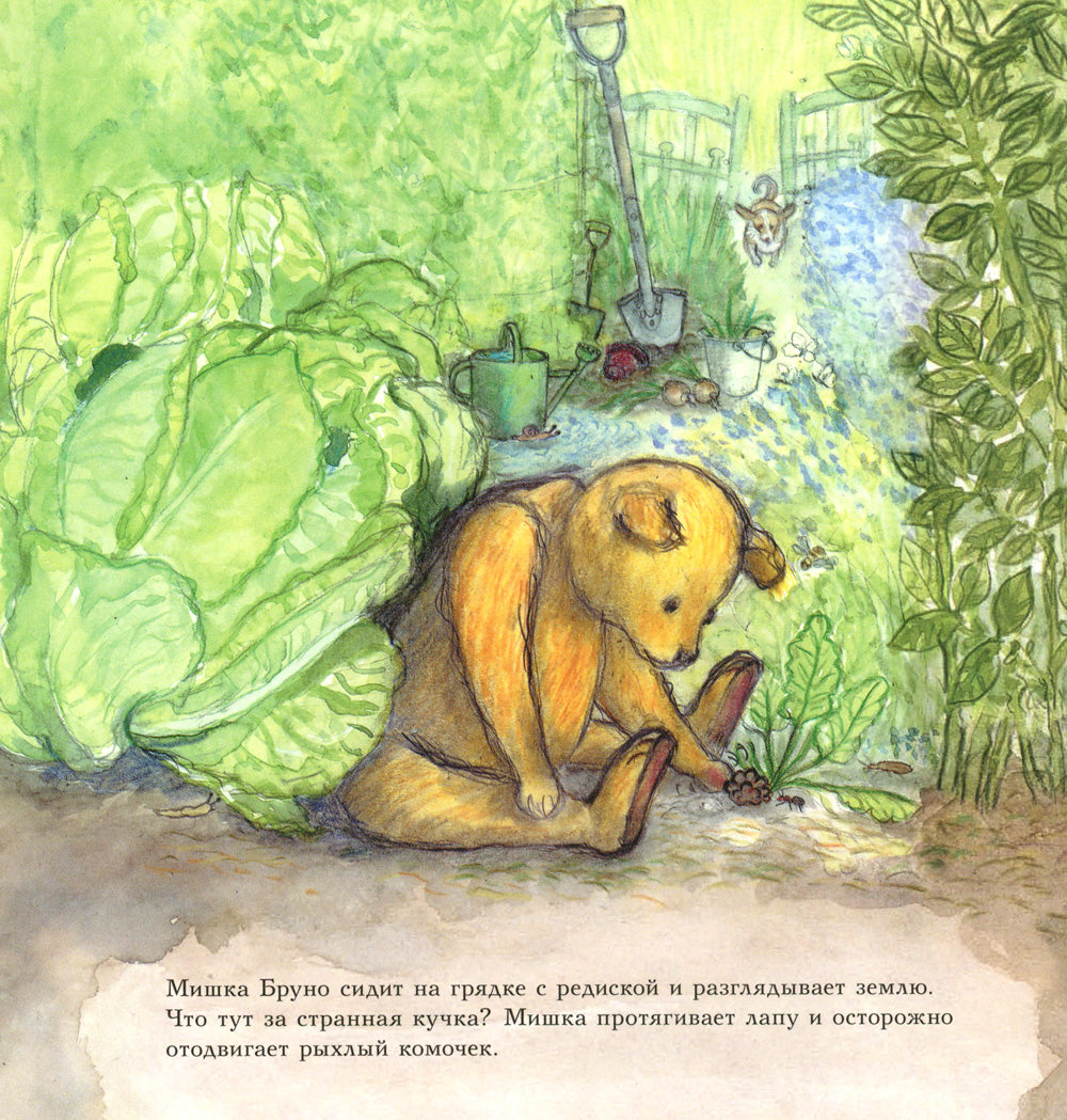 Мишка Бруно в саду: познавательная книжка-картинка
