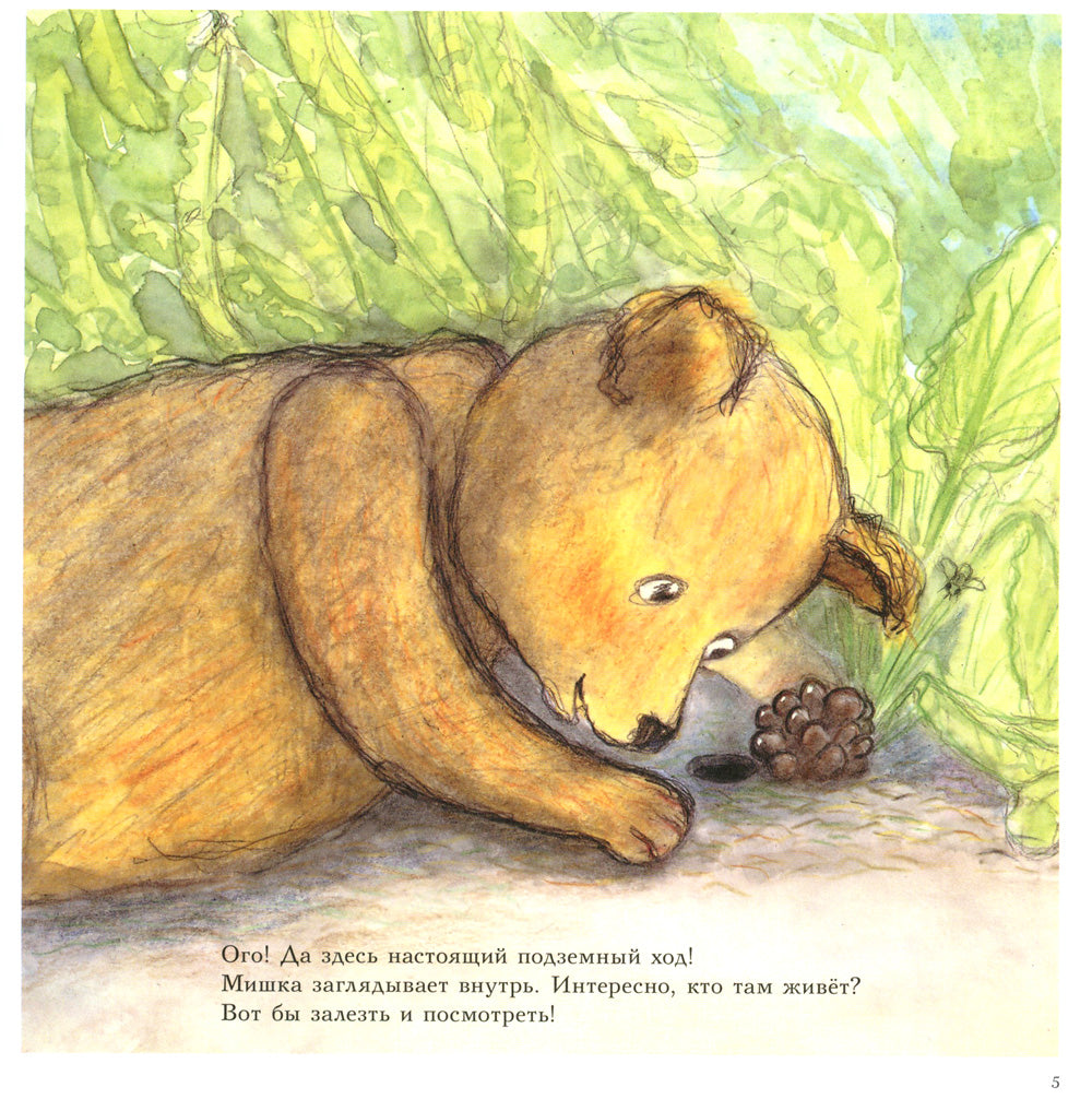 Мишка Бруно в саду: познавательная книжка-картинка