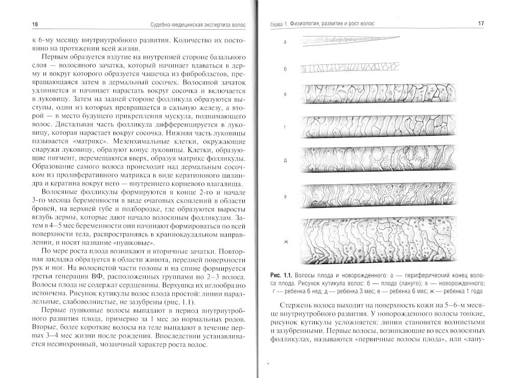 Vols d'experts sud-médicinaux : Учебное пособие